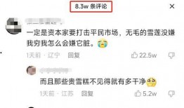 雪莲爆料视频在线观看,揭秘幕后真相，带你走进事件核心